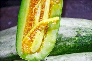 宝坻吃瓜网红是谁啊,网络红人的崛起之路 第2张 宝坻吃瓜网红是谁啊,网络红人的崛起之路 第2张