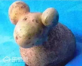 小羊返场最新爆料,最新爆料带你领略全新风采 第3张 小羊返场最新爆料,最新爆料带你领略全新风采 第3张