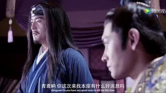 灵狐圣子2在线观看,奇幻冒险之旅，探寻神秘力量的传承之旅