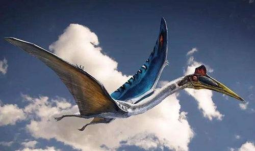 风神翼龙爆料了吗视频,揭秘神秘视频背后的惊人真相