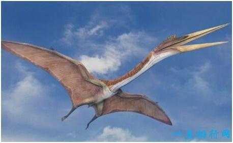 风神翼龙爆料了吗视频,揭秘神秘视频背后的惊人真相 第3张 风神翼龙爆料了吗视频,揭秘神秘视频背后的惊人真相 第3张