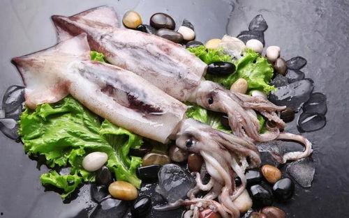 海鲜鱿鱼爆料视频播放,揭秘海洋美食背后的秘密