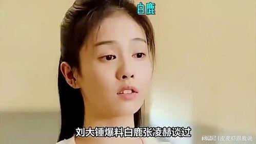 娱乐圈白鹿爆料,揭秘明星背后的真实故事 第2张 娱乐圈白鹿爆料,揭秘明星背后的真实故事 第2张