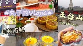 忻州美食爆料视频下载大全,视频大全带你领略地道风味  第2张