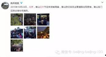 北京网红爆料视频播放大全,热门事件瞬间回顾