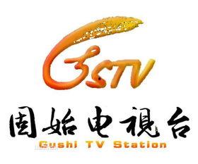 固始电视台新闻爆料,重大新闻事件背后真相揭晓