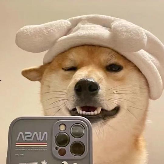 网红狗子张悦吃瓜图片大全,萌态百出图片大全 第3张 网红狗子张悦吃瓜图片大全,萌态百出图片大全 第3张