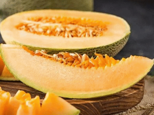 酒泉的瓜州免费吃瓜 第2张 酒泉的瓜州免费吃瓜 第2张