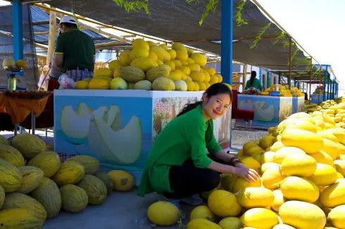 酒泉的瓜州免费吃瓜 第3张 酒泉的瓜州免费吃瓜 第3张