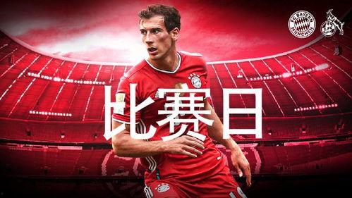 爆料者联盟今日情报查询,深度解析今日热点事件