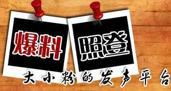 最新普通军需爆料新闻,最新军需物资爆料曝光