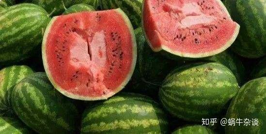 美国网红吃瓜视频大全,揭秘网络红人的幕后生活