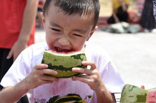 吃瓜的宝贝全集免费观看,揭秘娱乐圈幕后风云，免费观看全集大揭秘