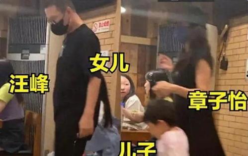 刘大锤最新爆料离婚,娱乐圈明星夫妻离婚内幕