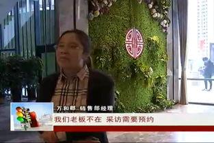 邢台楼盘爆料事件视频最新,揭露行业乱象，购房者权益如何保障？