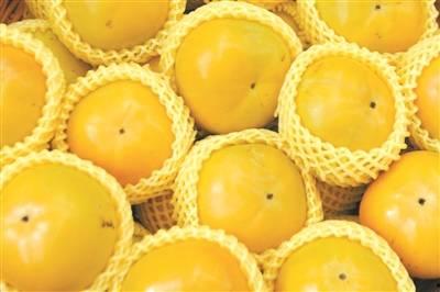 甘肃的哈密瓜免费吃,免费品尝甜蜜诱惑