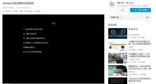 宋大姐网络爆料事件视频,揭秘背后真相与争议