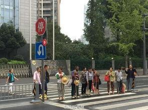 成都道路爆料最新消息新闻,多路段施工及交通管制信息汇总 第2张 成都道路爆料最新消息新闻,多路段施工及交通管制信息汇总 第2张