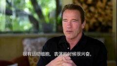 阿诺最新爆料消息视频,揭秘幕后的惊人真相! 第2张 阿诺最新爆料消息视频,揭秘幕后的惊人真相! 第2张