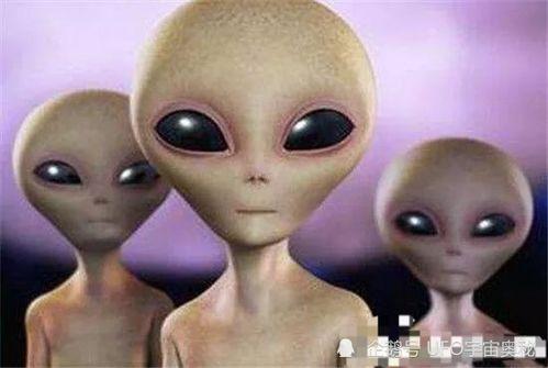 最新爆料外星人,外星生命迹象引发全球关注