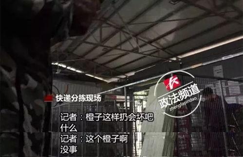 长沙爆料视频,揭秘城市生活幕后故事  第3张