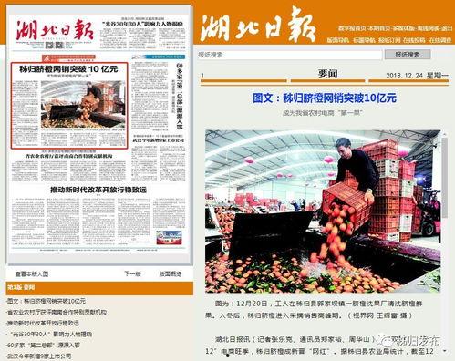 湖北日报新闻爆料,揭秘重大事件背后真相