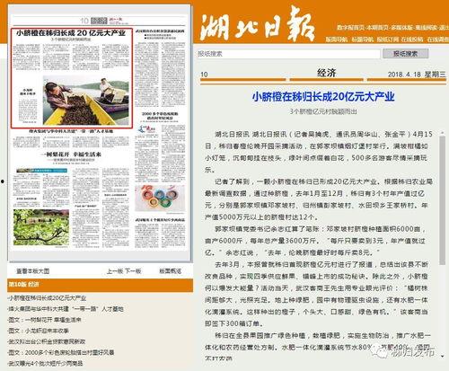 湖北日报新闻爆料,揭秘重大事件背后真相 第3张 湖北日报新闻爆料,揭秘重大事件背后真相 第3张