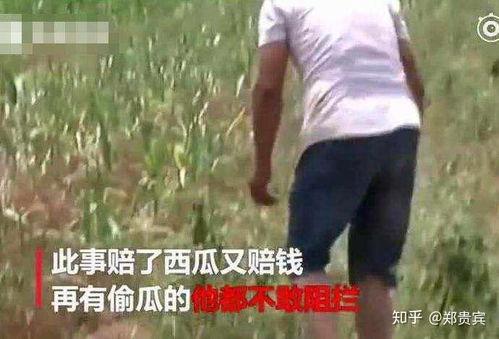 网红陈妮妮吃瓜事件,揭秘网红圈内的真实风波  第2张