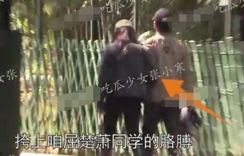 娱乐爆料屈楚萧,揭秘明星背后的故事