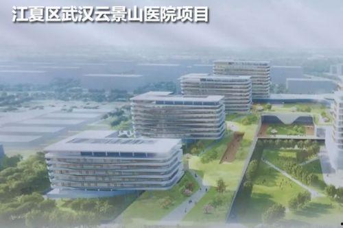 武汉爆料新消息最新,揭秘疫情下的城市动态与挑战  第3张