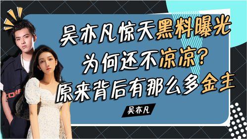 最新爆料黑料是什么,真相与传闻的交织