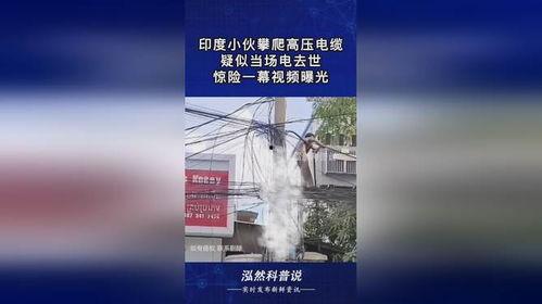 惊险一幕爆料视频大全集,揭秘爆料视频大全集的惊心动魄瞬间 第3张 惊险一幕爆料视频大全集,揭秘爆料视频大全集的惊心动魄瞬间 第3张