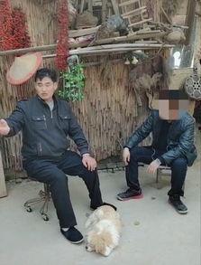 山东大衣哥爆料最新消息,揭秘娱乐圈惊人内幕！  第3张