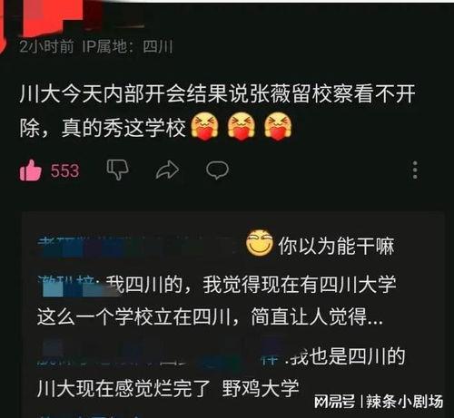 川大校友爆料视频最新,校园风云再起 第3张 川大校友爆料视频最新,校园风云再起 第3张