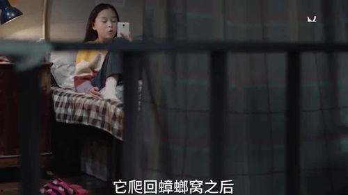 莎姐爆料视频在线观看,揭秘娱乐圈幕后真相