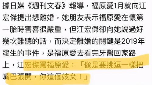 文春爆料金菜园视频,文春独家爆料，揭秘幕后真相