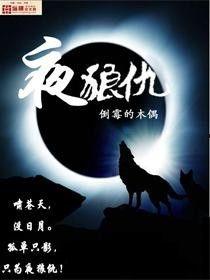 夜狼在线观看,在线观看,揭秘神秘狼群的传奇故事 第2张 夜狼在线观看,在线观看,揭秘神秘狼群的传奇故事 第2张