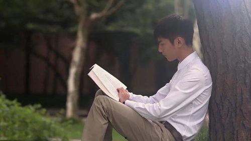 娱乐圈爆料何以琛,娱乐圈中的霸道总裁传奇