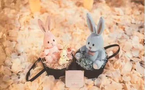 娱乐圈兔吃瓜,兔吃瓜事件揭秘  第2张