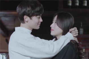 寒武纪在线观看1,在线观看之旅