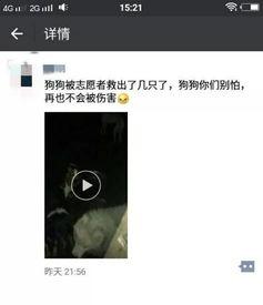 徐州最新爆料视频,现场实况直击 第2张 徐州最新爆料视频,现场实况直击 第2张