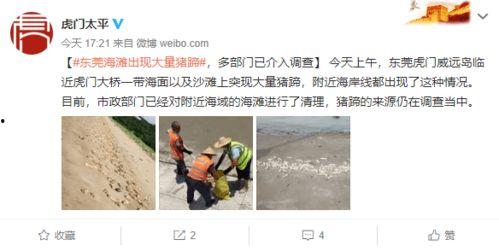 现场救人热点爆料视频,紧急救援!现场感人瞬间直击人心 第3张 现场救人热点爆料视频,紧急救援!现场感人瞬间直击人心 第3张