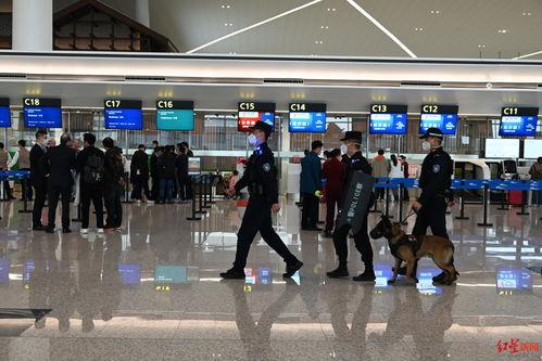 天府机场爆料事件视频,揭秘机场背后真相 第3张 天府机场爆料事件视频,揭秘机场背后真相 第3张