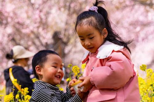 快乐树朋友在线观看,在线观看，欢乐无限亲子时光