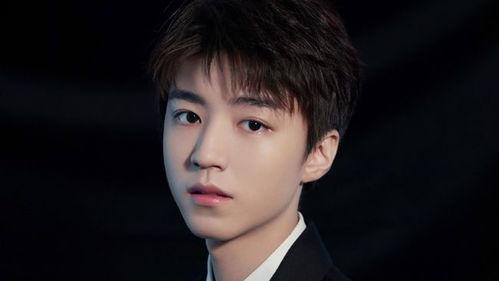 王俊凯 娱乐圈爆料,揭秘明星背后的故事 第2张 王俊凯 娱乐圈爆料,揭秘明星背后的故事 第2张