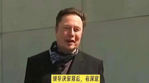 马斯克爆料印度高管视频,印度高管视频引发行业热议