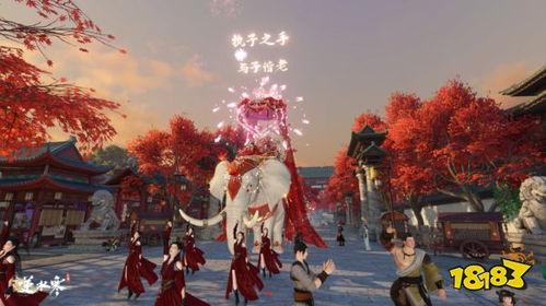 逆水寒婚礼爆料大全最新,揭秘游戏内浪漫婚典全攻略  第3张