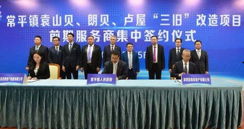 东莞常平新闻爆料最新,详情揭晓